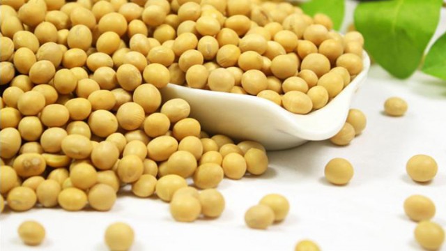MBA、MPAcc英语二同源阅读：Healthy snacks in Japan： The joy of soy
