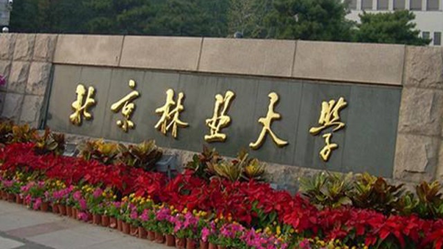 北京林业大学MBA教育中心公益备考课堂课程安排