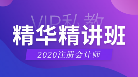 2020CPA精华精讲班——审计