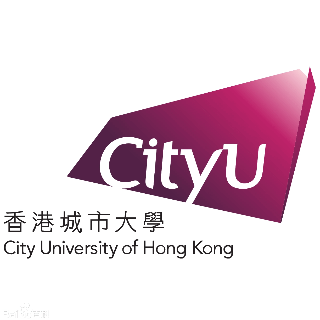 香港城市大学