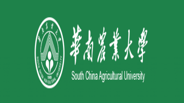 23级华南农业大学-农村发展