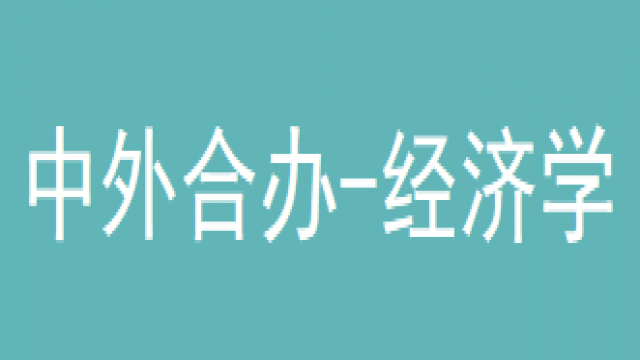 中外合办经济学课程